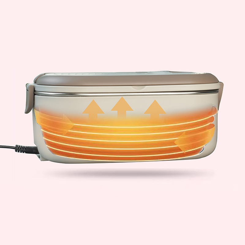 220V 110V Electric Lunch Box S - Food Storage Thermos 评论和价格