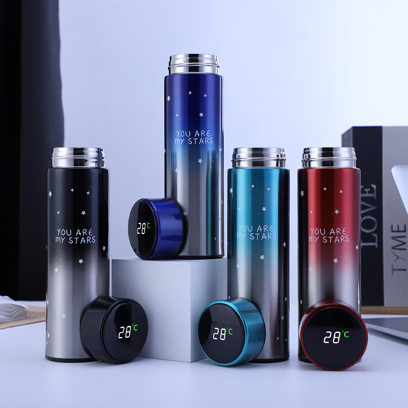 Smart Stainless Steel Thermal  - Food Storage Thermos 评论和价格