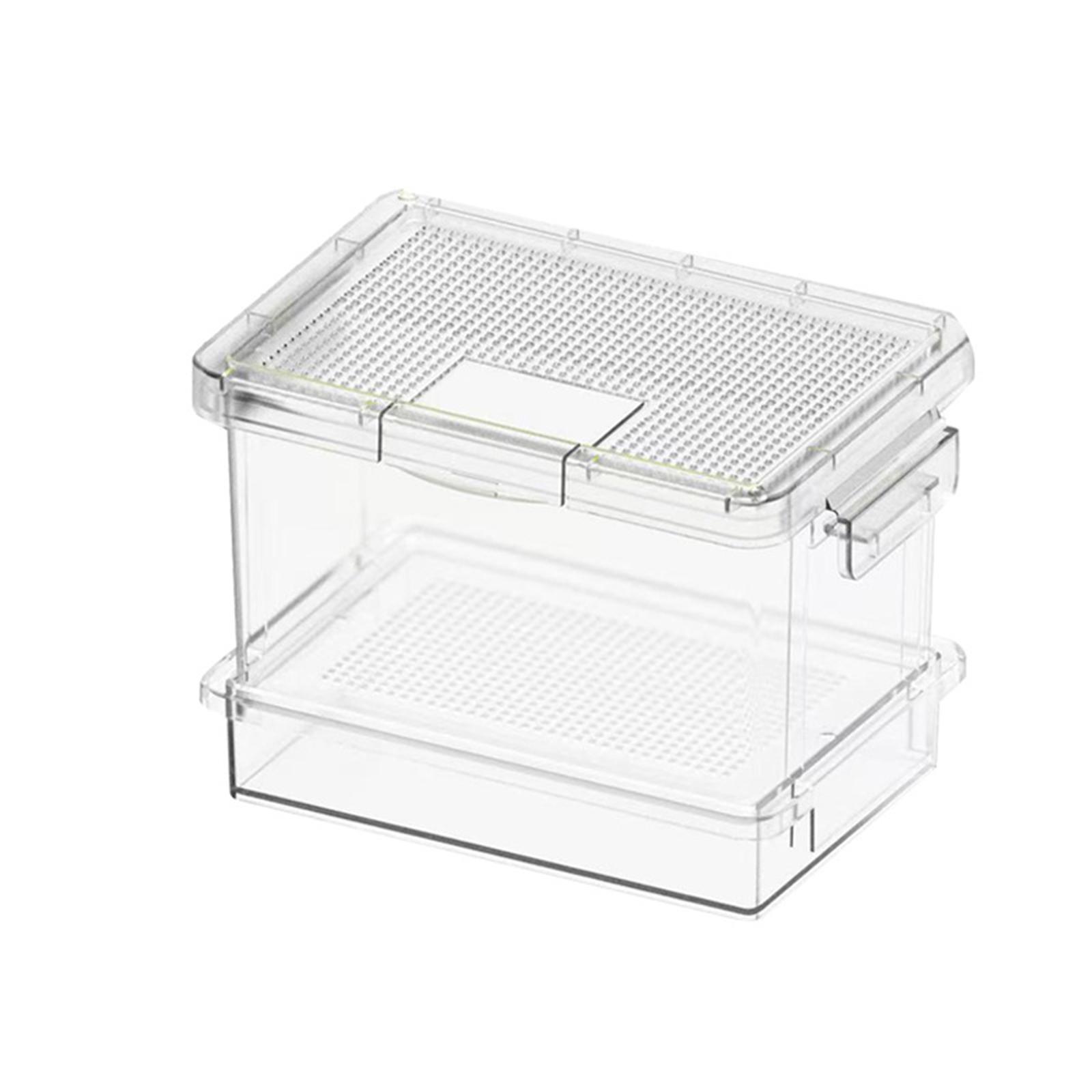 Plastic Turtle Feeder Reptile  - Food Storage Plastic Boxes 评论和价格